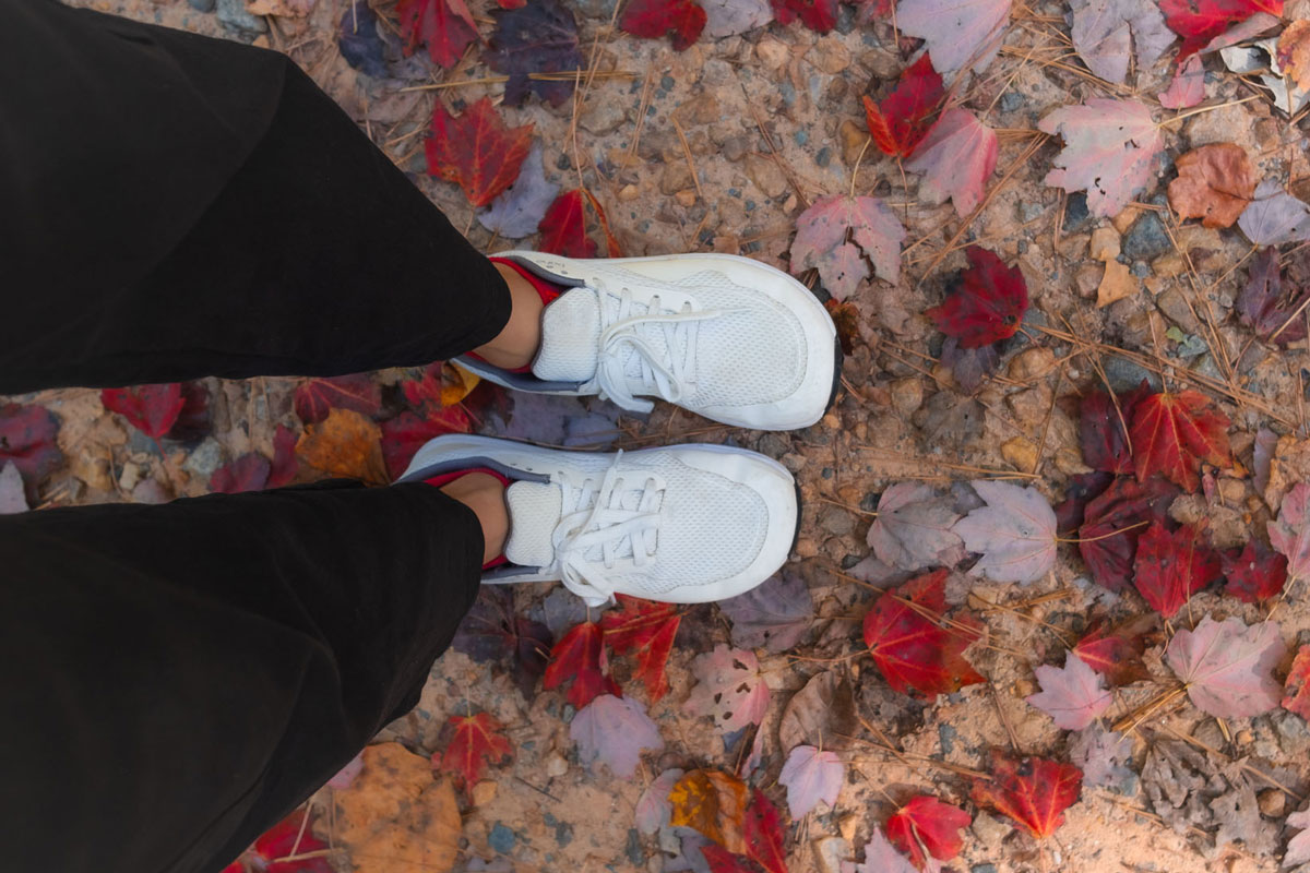 Bahe minimalist running shoes